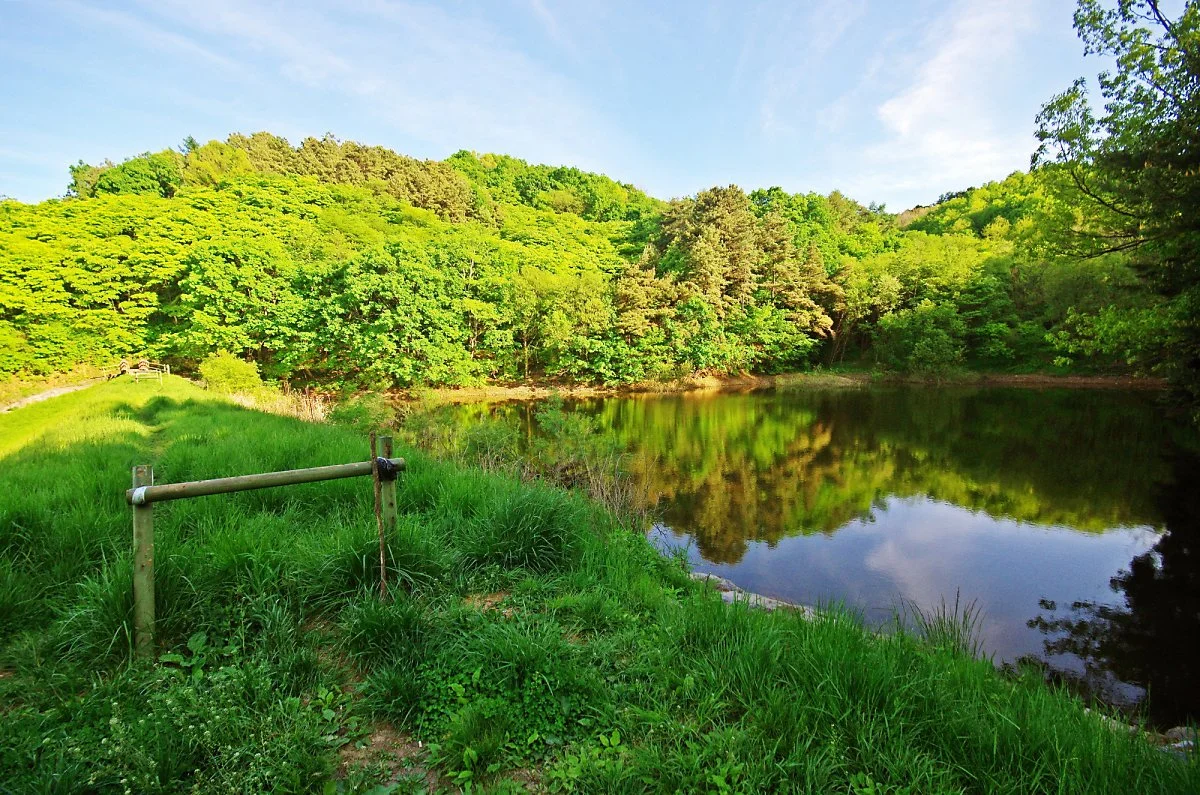 %EA%B2%83%EB%8C%80%EC%82%B0%EC%97%90%EC%84%9C_%EC%82%B0%EC%84%B1%EA%B5%90%EC%B0%A8%EB%A1%9C_%EC%AA%BD%EC%9C%BC%EB%A1%9C_%EB%82%B4%EB%A0%A4%EC%98%A4%EB%8B%A4%EA%B0%80_%EB%B3%B8_%EC%A0%80%EC%88%98%EC%A7%80._%EC%88%98%EB%A9%B4%EC%97%90_%EB%B9%84%EC%B9%9C_.JPG?type=w1200