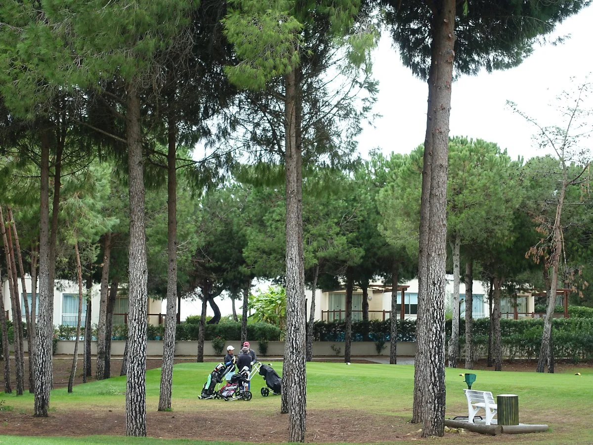 %EC%B9%B4%EC%95%BC%EB%A0%88%EA%B7%B8%EB%84%98%ED%8C%94%EB%9D%BC%EC%A1%B0%EA%B3%A8%ED%94%84%EC%9E%A5_%2817%29.JPG?type=w1200