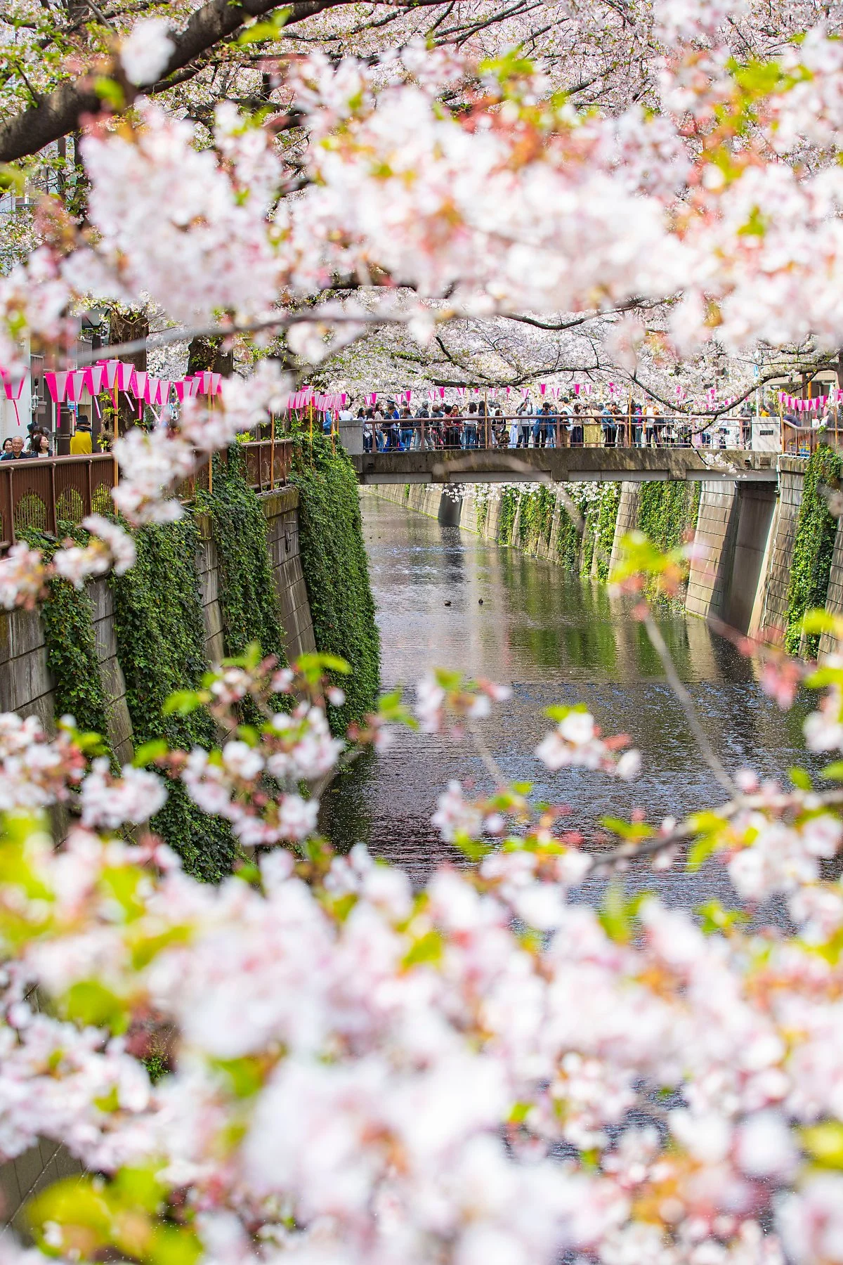 %EB%8F%84%EC%BF%84_%EB%A9%94%EA%B5%AC%EB%A1%9C%EA%B0%80%EC%99%80_2.jpg?type=w1200