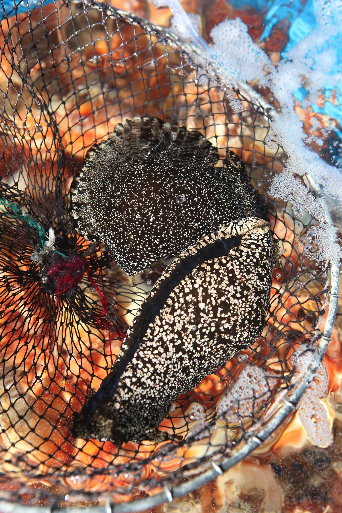 %EC%9D%8C%EC%8B%9D_%EA%B5%B0%EC%86%8C1.JPG?type=w1200