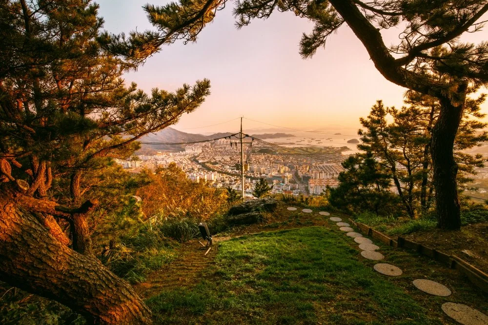 %ED%81%AC%EA%B8%B0%EB%B3%80%ED%99%98%EC%95%88%EB%AF%BC%EA%B3%A0%EA%B0%9C-2-2.jpg?type=w1200