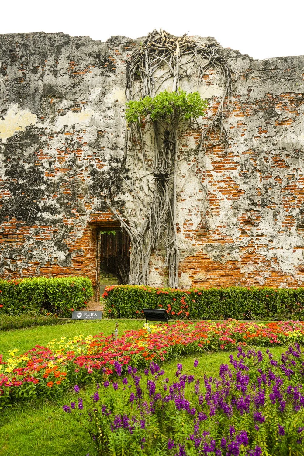 %ED%83%80%EC%9D%B4%EB%82%9C_%EC%95%88%ED%8F%89%EA%B3%A0%EB%B3%B4_%282%29.jpg?type=w1200