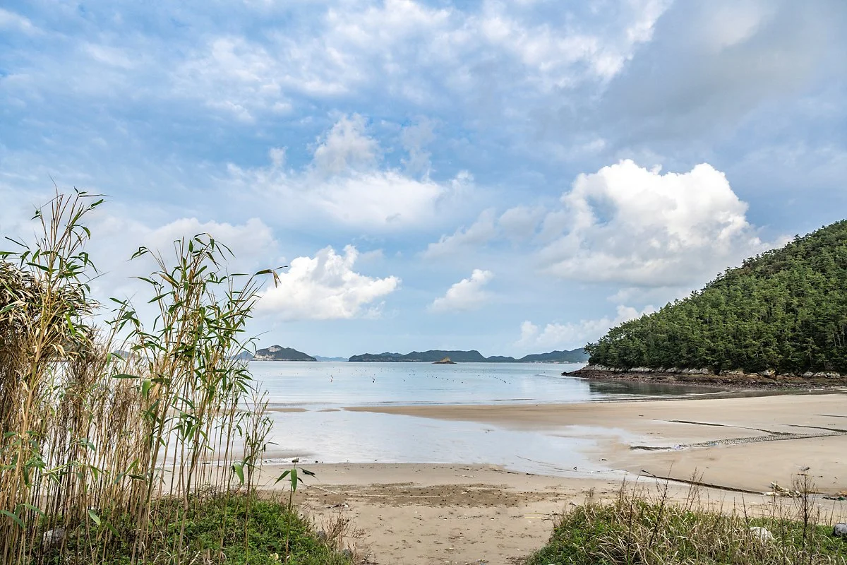 %EC%8B%9C%EC%95%84%EC%8B%9C%ED%95%B4%EB%B3%80_%281%29.jpg?type=w1200