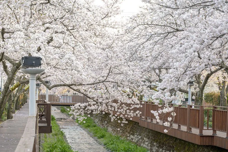 %EC%97%AC%EC%A2%8C%EC%B2%9C-%283%29.jpg?type=w1200