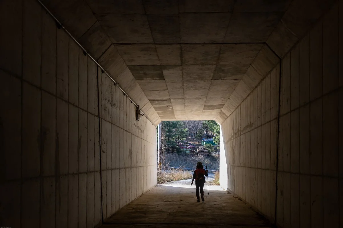 4_%EA%B5%B4%EB%8B%A4%EB%A6%AC.jpg?type=w1200