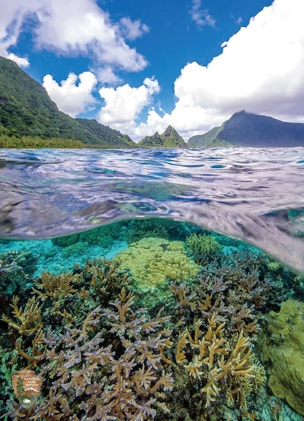 %EC%95%84%EB%A9%94%EB%A6%AC%EC%B9%B8_%EA%B5%AD%EB%A6%BD%EA%B3%B5%EC%9B%90_%284%29.jpg?type=w1200