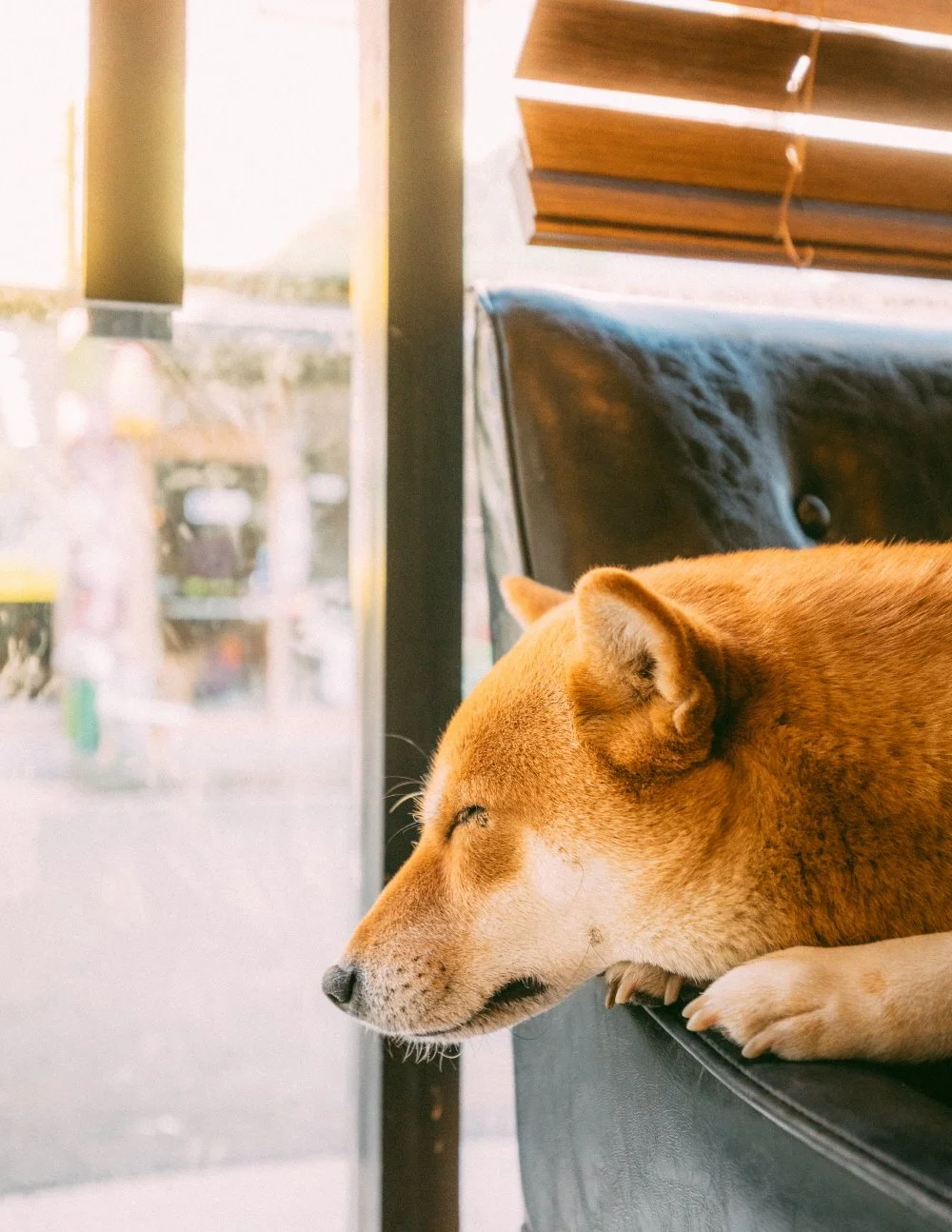 %ED%81%AC%EA%B8%B0%EB%B3%80%ED%99%98%EB%8F%84%EB%B9%84%EB%9D%BC__%282%29.JPG?type=w1200