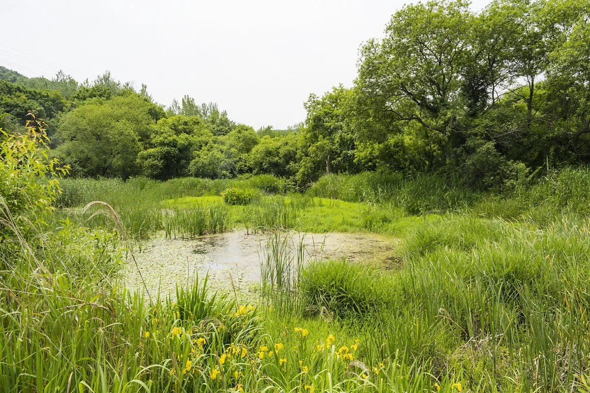 %EC%9A%B4%EA%B3%A1%EB%9E%8C%EC%82%AC%EB%A5%B4%EC%8A%B5%EC%A7%80_%285%29.jpg?type=w1200