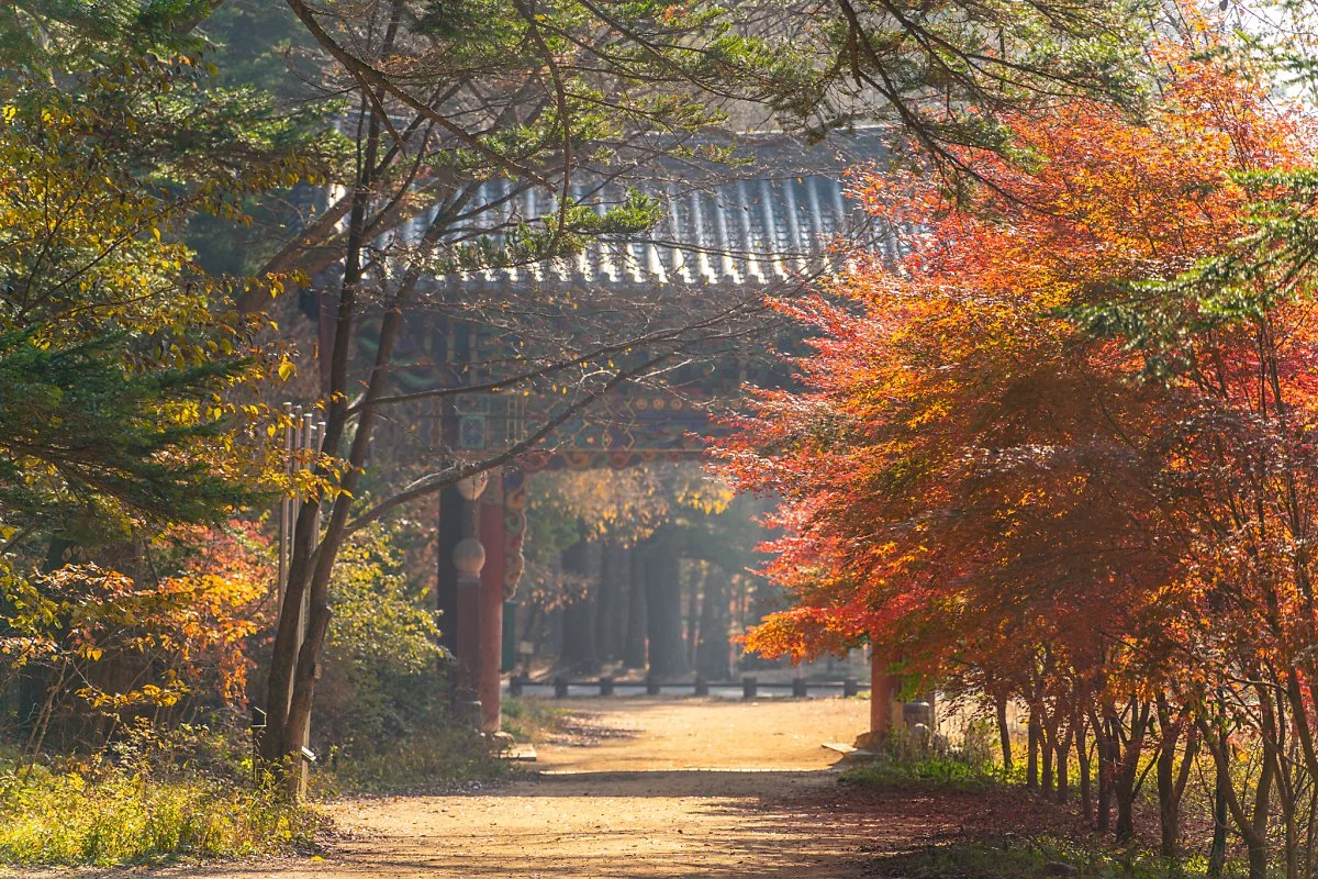 %EC%9B%94%EC%A0%95%EC%82%AC_004.jpg?type=w1200