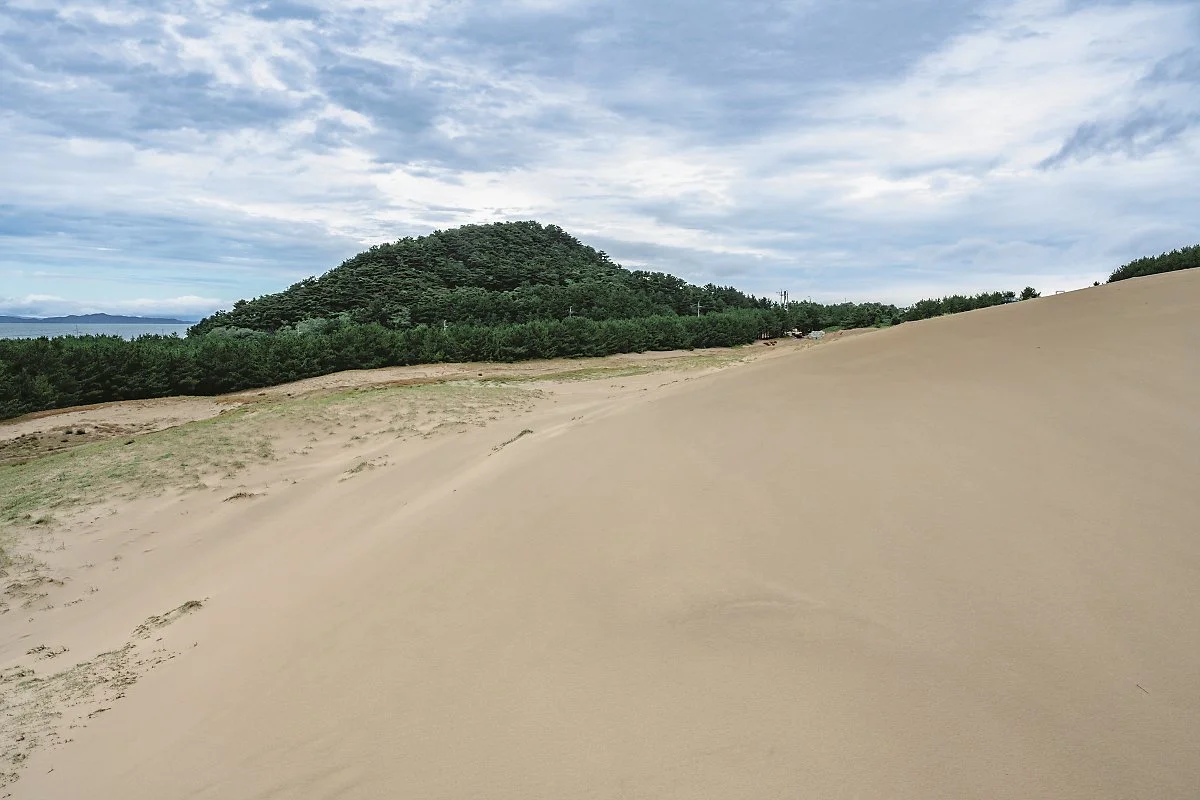 %EB%8C%80%EC%B2%AD%EB%8F%84_%2829%29%EC%98%A5%EC%A3%BD%EB%8F%99%EC%82%AC%EA%B5%AC.jpg?type=w1200