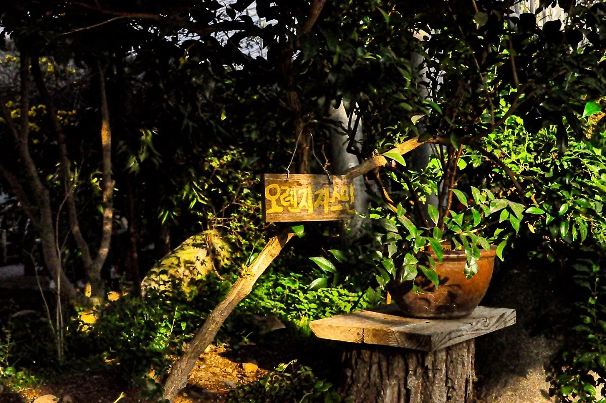 %EA%B0%9C%ED%99%94%EC%98%88%EC%88%A0%EA%B3%B5%EC%9B%903.jpg?type=w1200