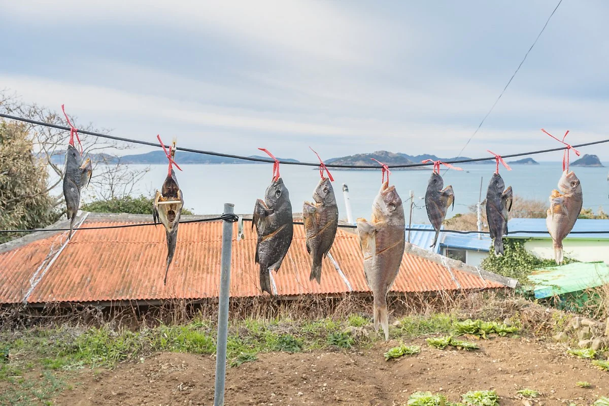 %ED%9A%A1%EA%B0%84%EB%8F%84_%283%29.jpg?type=w1200