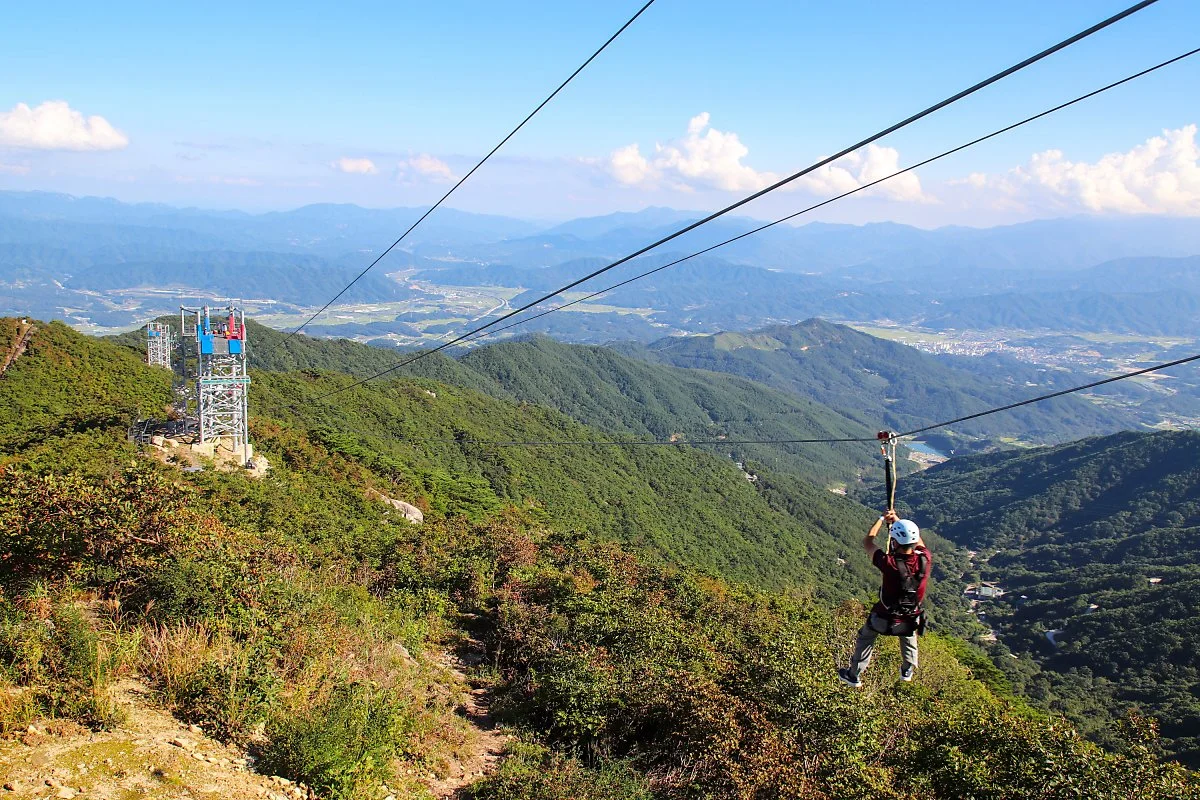 %EC%A7%9A%EB%9D%BC%EC%9D%B82.jpg?type=w1200