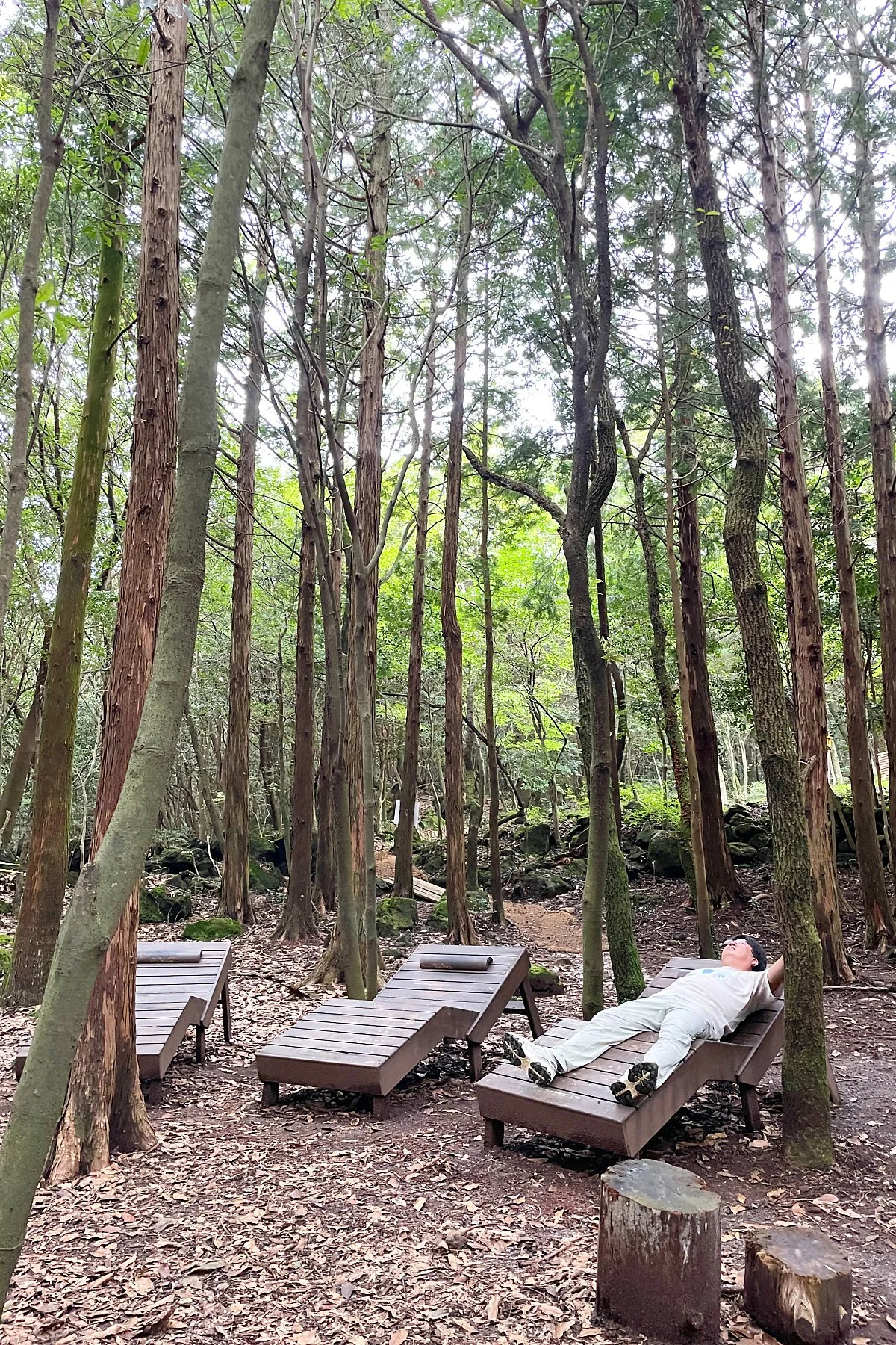 %EC%84%9C%EA%B7%80%ED%8F%AC%EC%B9%98%EC%9C%A0%EC%9D%98%EC%88%B2_%2837%29.JPG?type=w1200