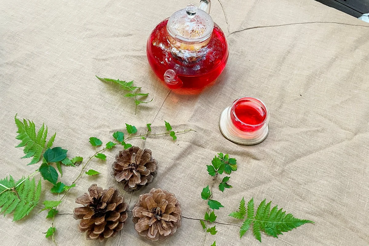 %EC%84%9C%EA%B7%80%ED%8F%AC%EC%B9%98%EC%9C%A0%EC%9D%98%EC%88%B2_%2862%29.JPG?type=w1200