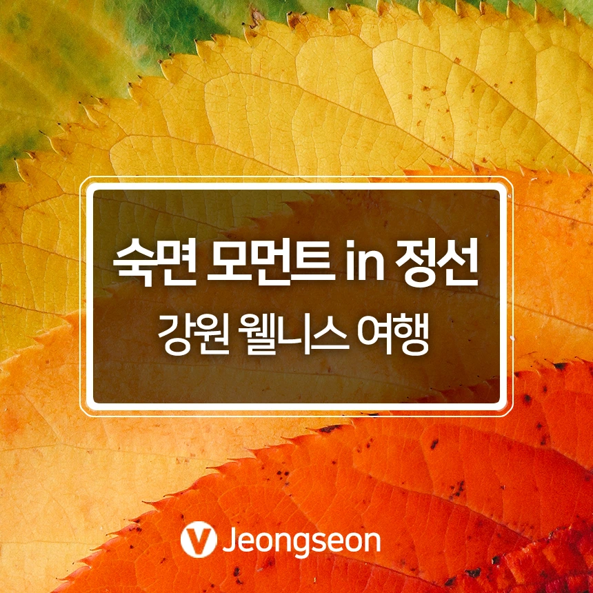 %EA%B0%95%EC%9B%90%EC%9B%B0%EB%8B%88%EC%8A%A4.jpg?type=w966