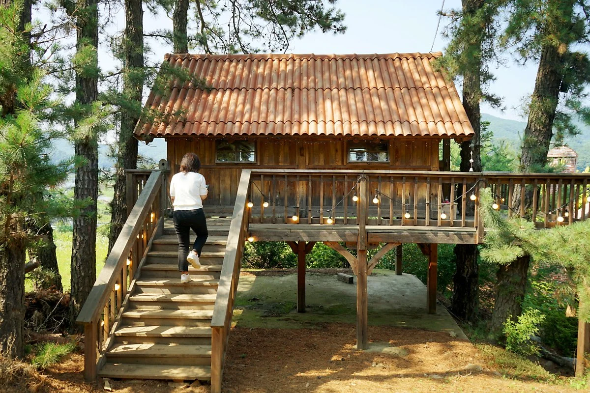 %ED%8A%B8%EB%A6%AC%ED%95%98%EC%9A%B0%EC%8A%A4%EA%B0%80%EB%93%A0_%EA%B4%B4%EC%82%B0_202306_%EC%9B%B0%EC%B4%8C_%284%29.JPG?type=w1200