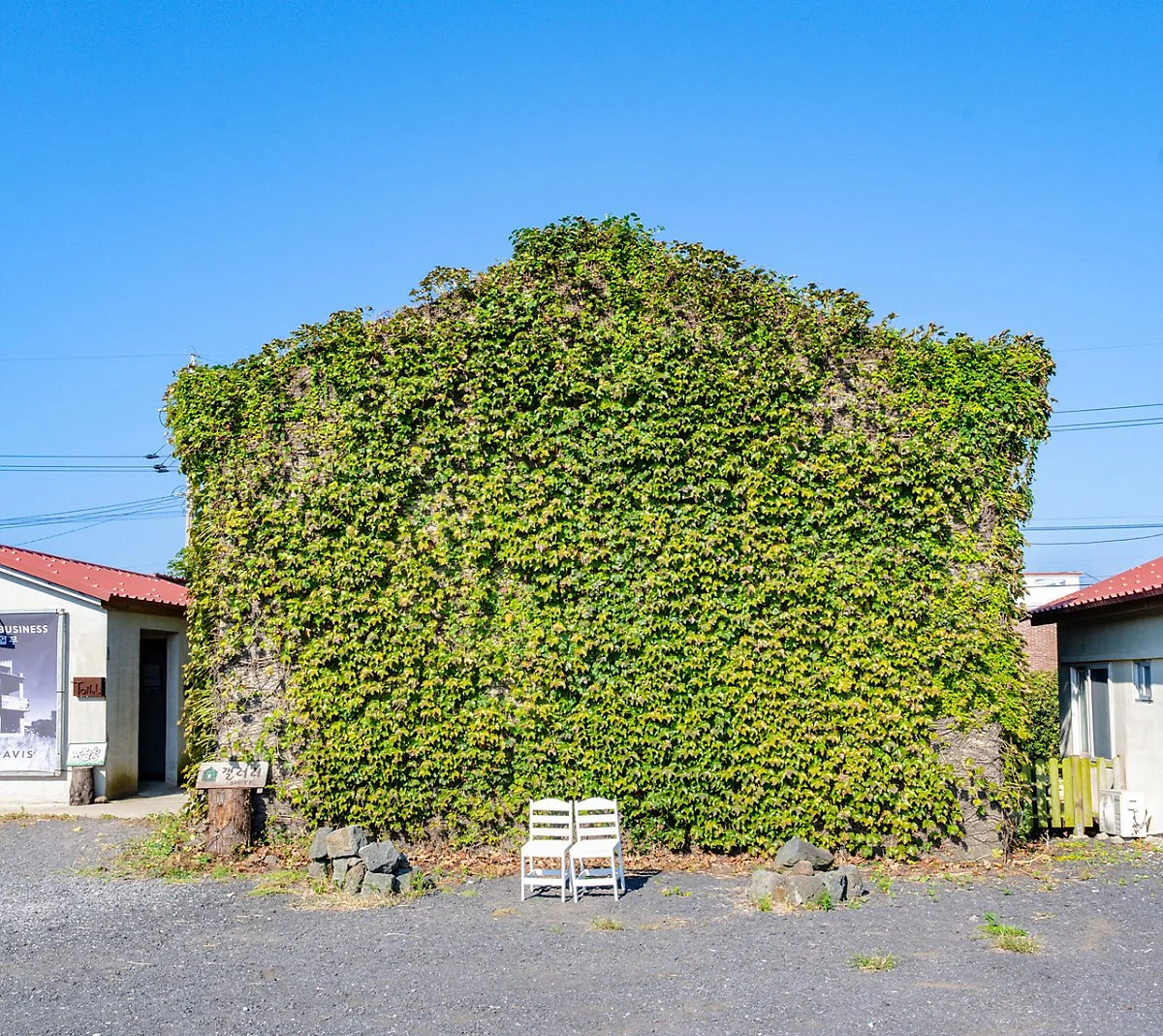 image_6123646221634543226907.jpg?type=w1200