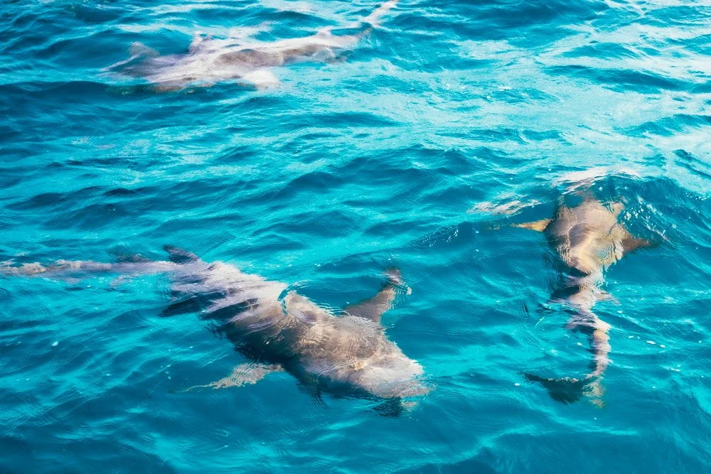 %EB%AA%B0%EB%94%A5_dd-8.jpg?type=w1200