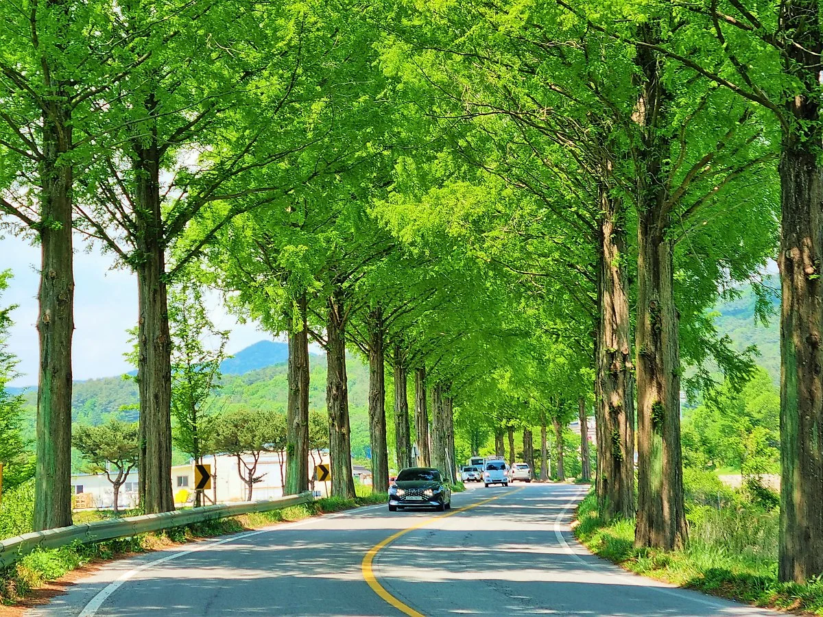 %EC%88%9C%EC%B0%BD_%EB%A9%94%ED%83%80%EC%84%B8%EC%BF%BC%EC%9D%B4%EC%95%84.jpg?type=w1200