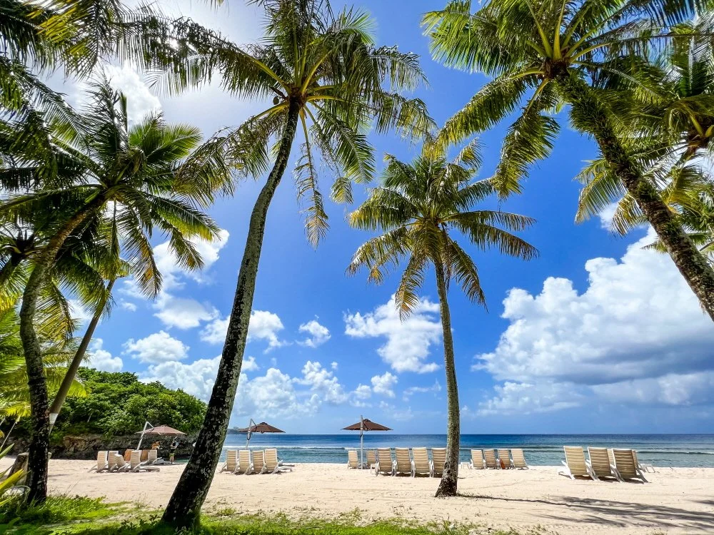 IMG_0292.jpg?type=w1200