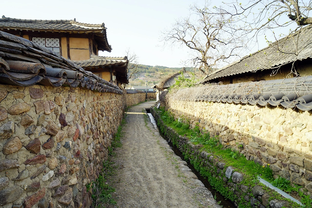 삼지천마을DSC03282.JPG