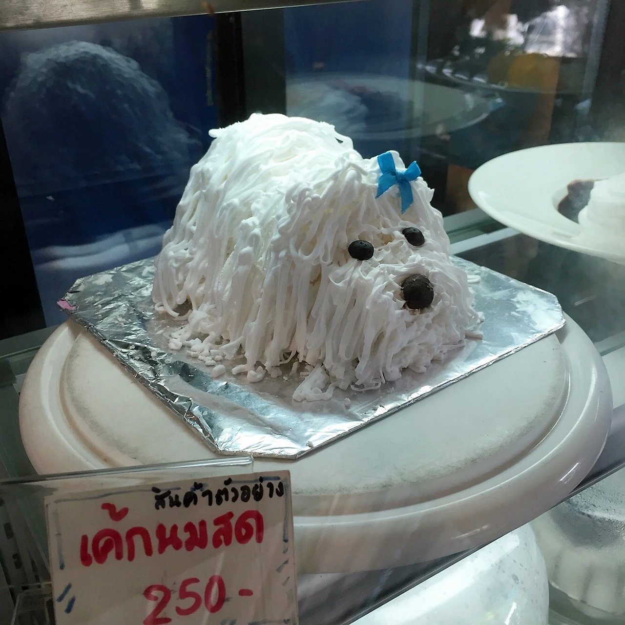 컵케이크 앳 파야오_(c)남지영 (1).JPG