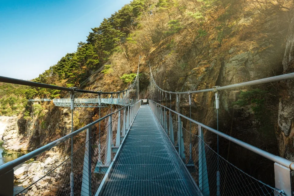 %EC%B2%A0%EC%9B%90-1-2.jpg?type=w966