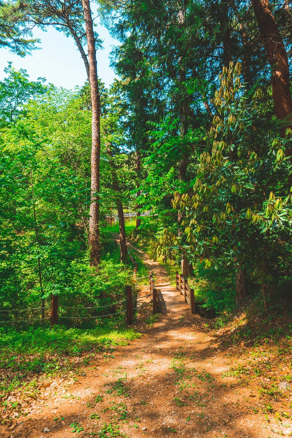 %EA%B3%A0%EC%82%B0%EC%9C%A4%EC%84%A0%EB%8F%84%EC%9C%A0%EC%A0%81%EC%A7%80_%2815%29.jpg?type=w1200