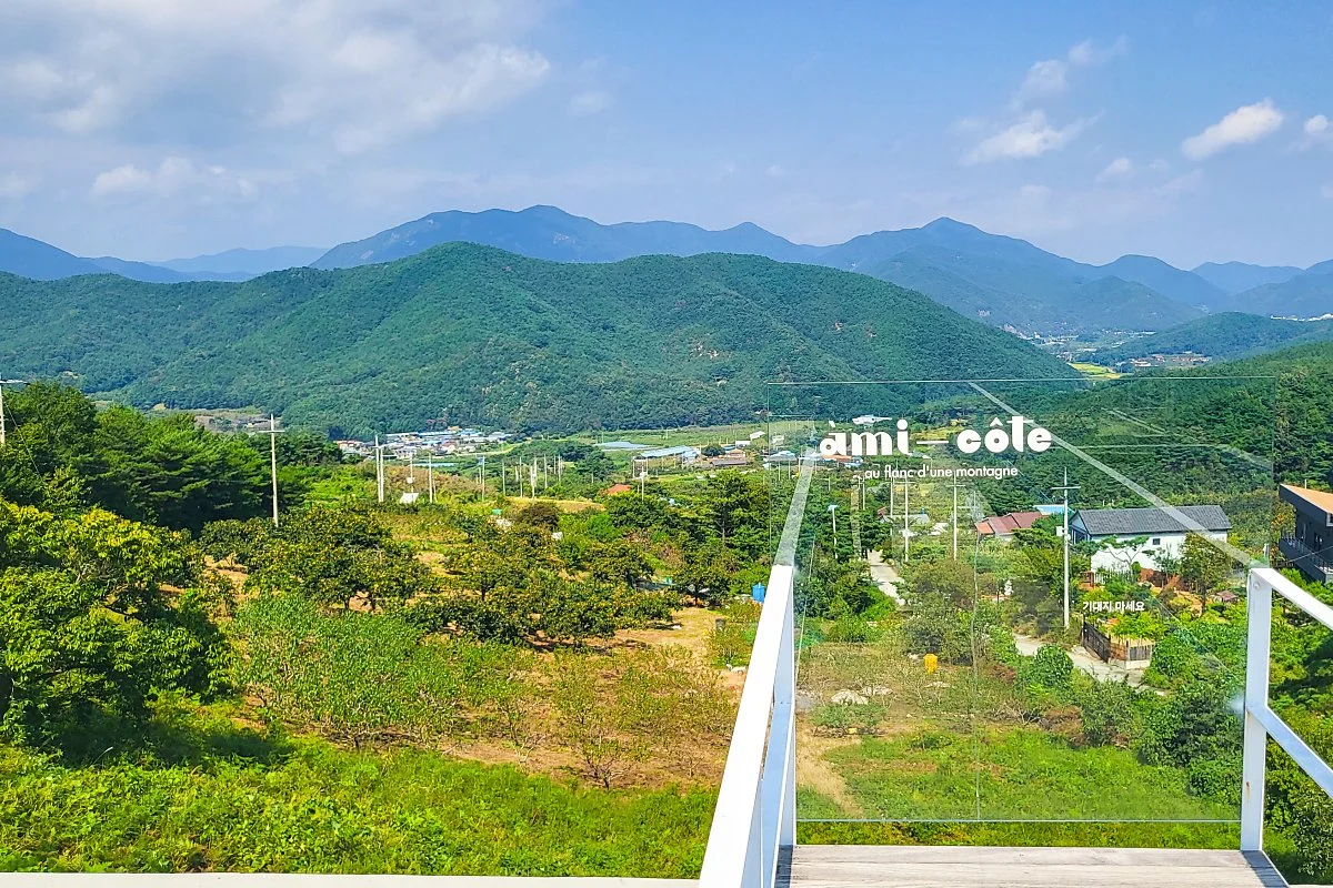 d_%EC%95%84%EB%AF%B8%EA%BC%AC%EB%9C%A8_1.jpg?type=w1200