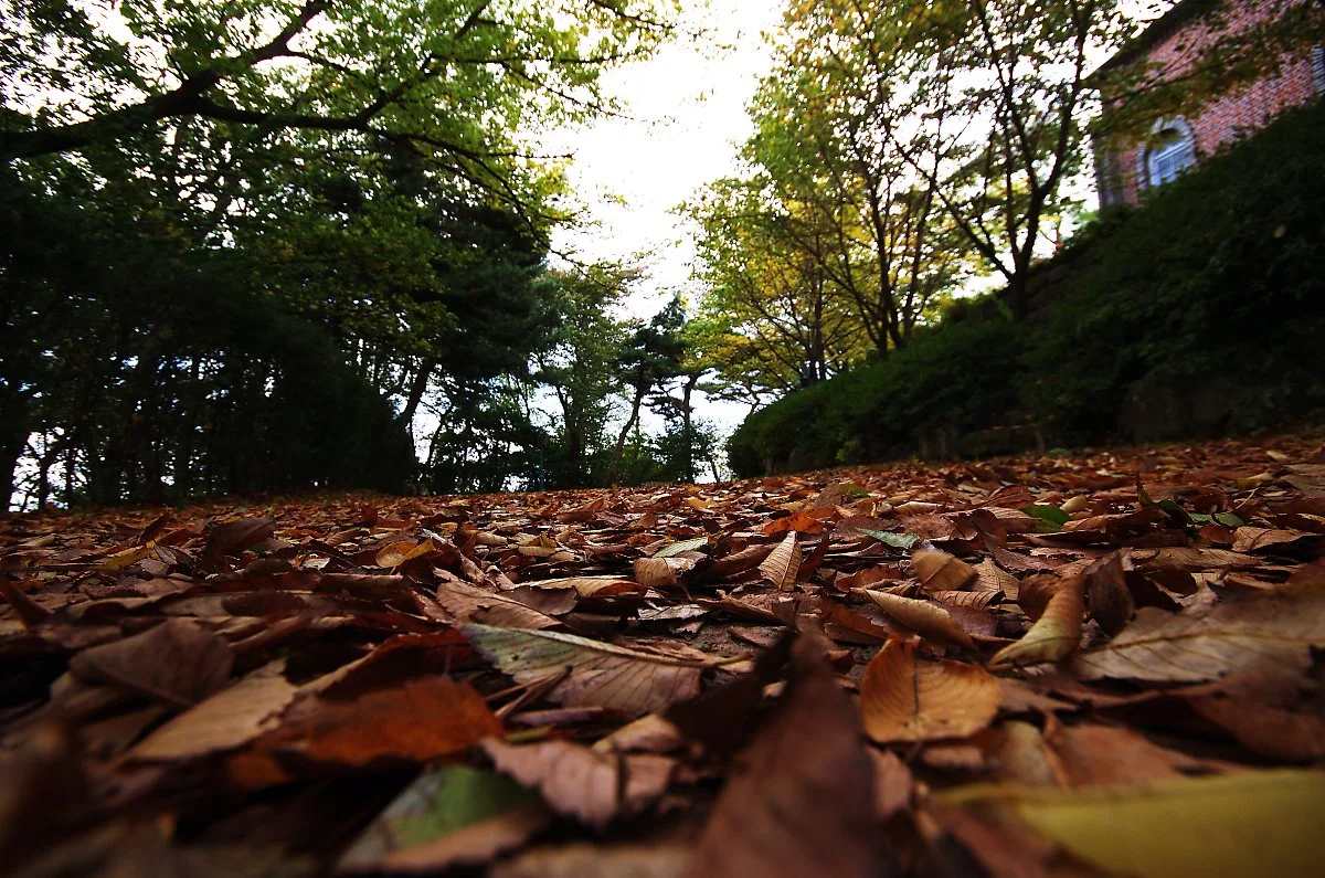 %EA%B3%B5%EC%84%B8%EB%A6%AC%EC%84%B1%EB%8B%B9_%EB%82%99%EC%97%BD%EA%B8%B8.JPG?type=w1200