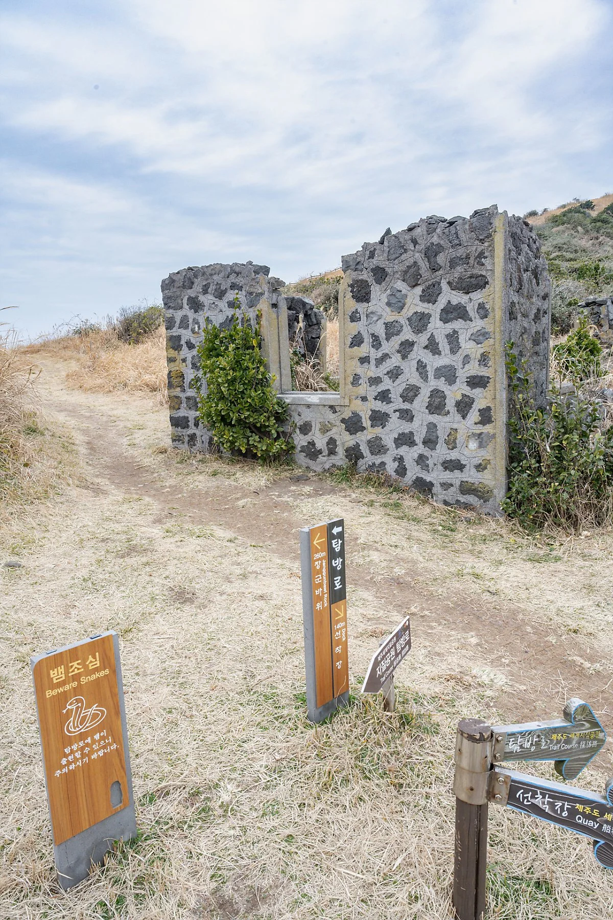 %EC%B0%A8%EA%B7%80%EB%8F%84_%EC%99%B8%EC%9D%B8%EA%B5%AC%EB%8B%A8_%EC%B4%AC%EC%98%81%EC%A7%80_%287%29.jpg?type=w1200