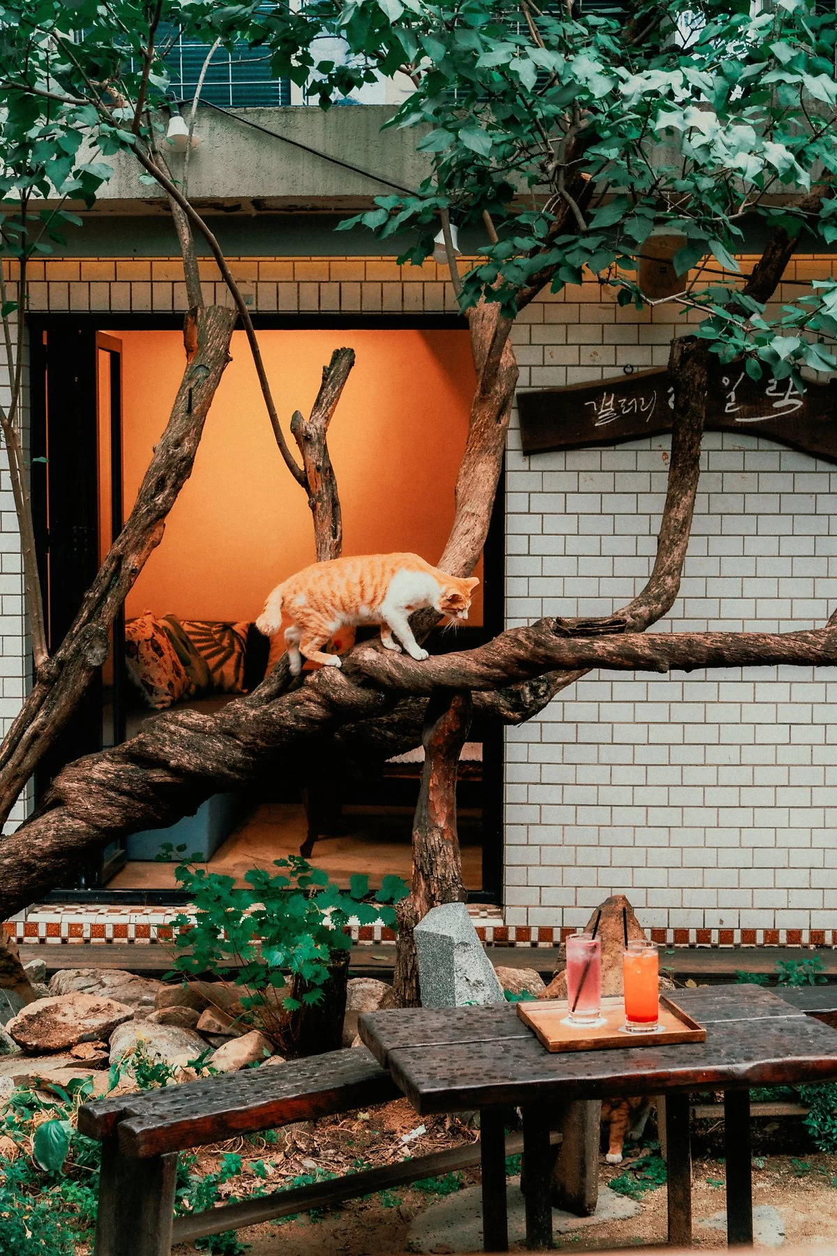 %EB%9D%BC%EC%9D%BC%EB%9D%BD%EB%9C%A8%EB%9D%BD_%281%29.jpg?type=w1200