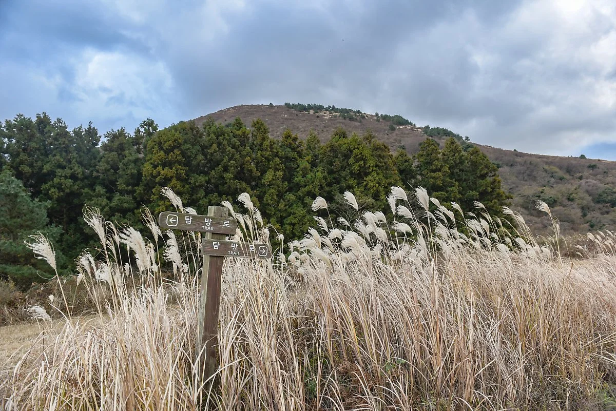 %EB%8F%99%EA%B1%B0%EB%AC%B8%EC%9D%B4%EC%98%A4%EB%A6%84_%282%29.jpg?type=w1200