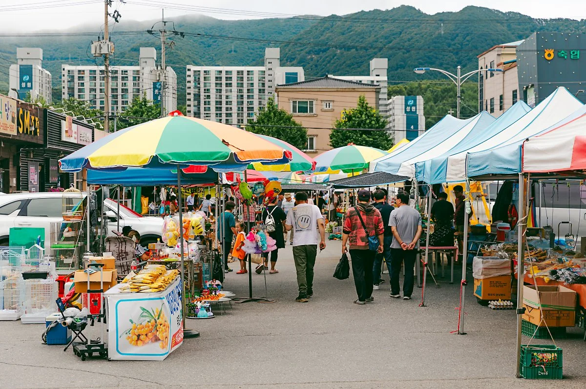 d_%EC%A7%84%EB%B6%80%EB%A9%B4%EC%9E%AC%EB%9E%98%EC%8B%9C%EC%9E%A5_3.jpg?type=w1200