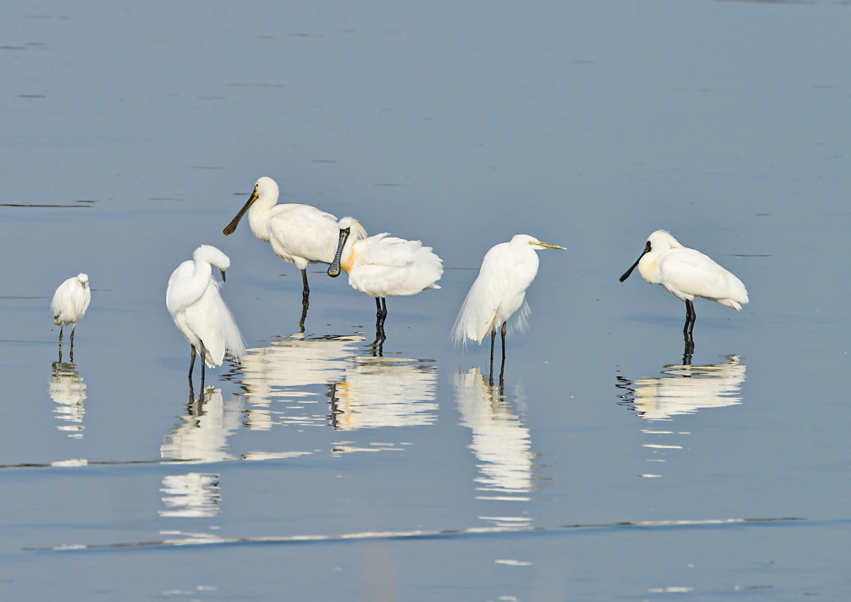 %EC%9E%A5%EC%84%A0%EA%B0%AF%EB%B2%8C_%EC%A0%80%EC%96%B4%EC%83%88%EB%85%B8%EB%9E%91%EB%B6%80%EB%A6%AC%EC%A0%80%EC%96%B4%EC%83%88_%EC%86%A1%EC%9E%AC%EA%B2%B8.png?type=w1200