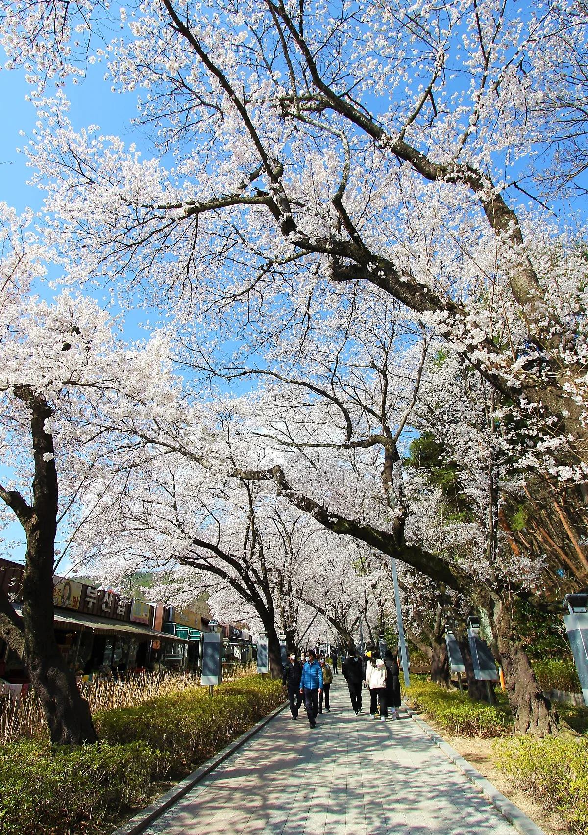 01%EC%9E%91%EC%B2%9C%EC%A0%95_%283%29.JPG?type=w1200