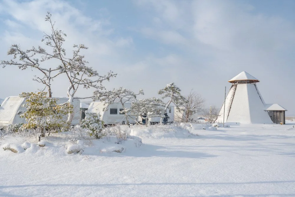 50120_20602_1954.jpg?type=w1200