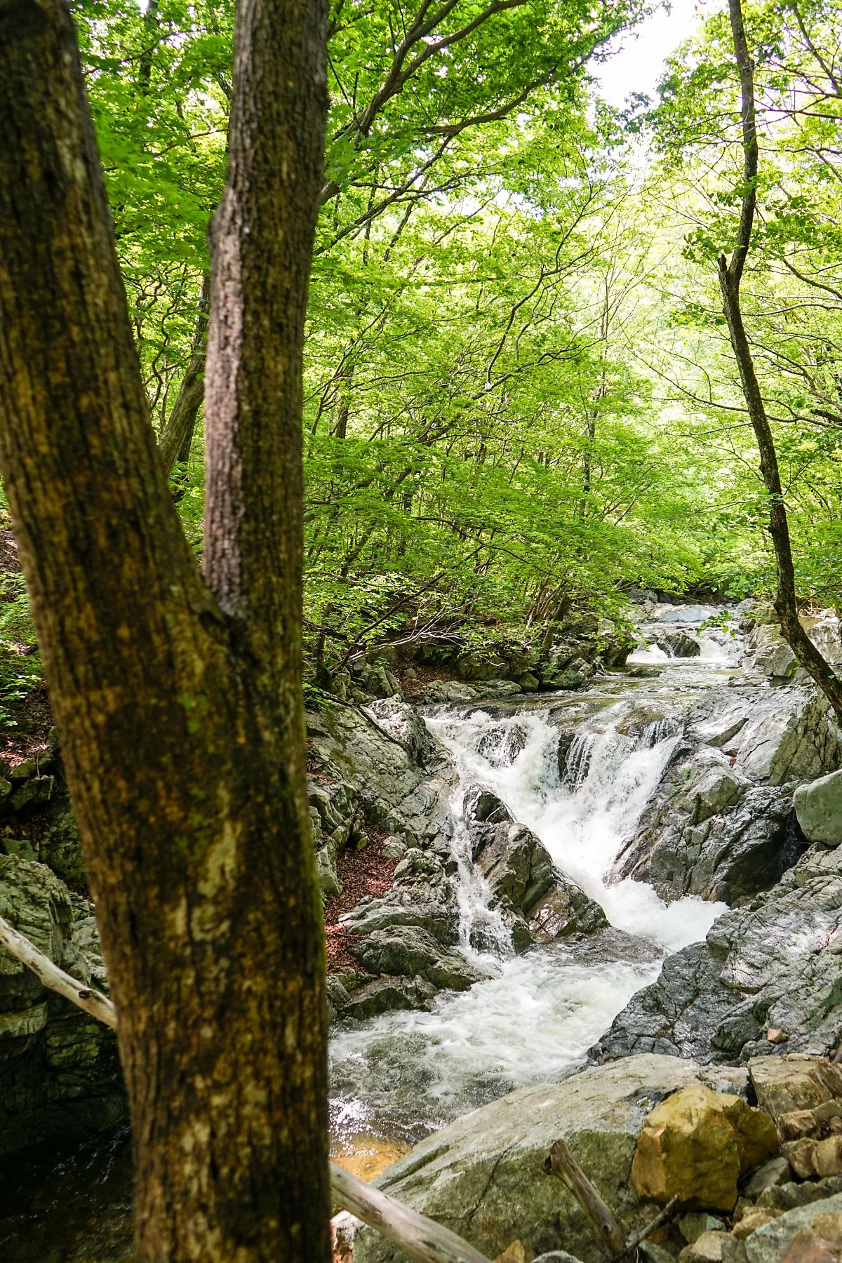 %EA%B3%84%EA%B3%A1_%283%29.JPG?type=w1200