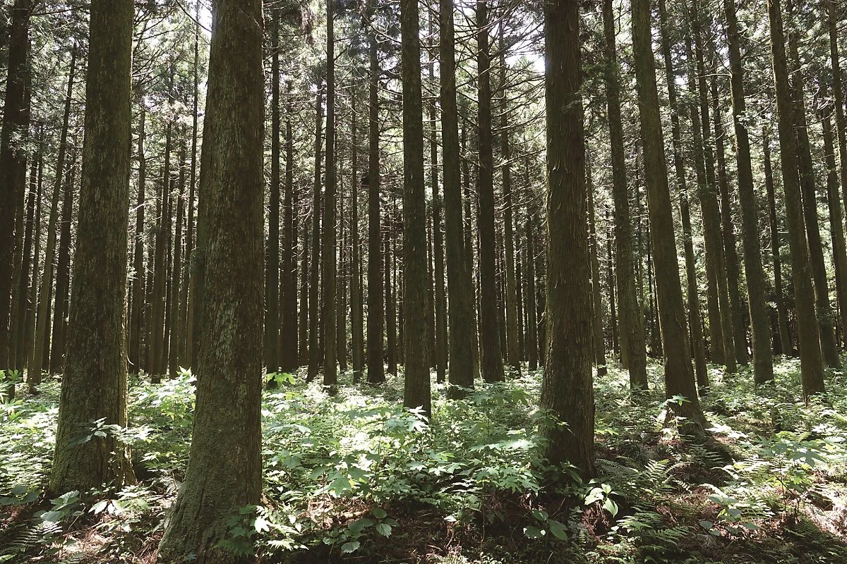 %ED%95%9C%EB%82%A8%EB%A6%AC_%284%29.jpg?type=w1200