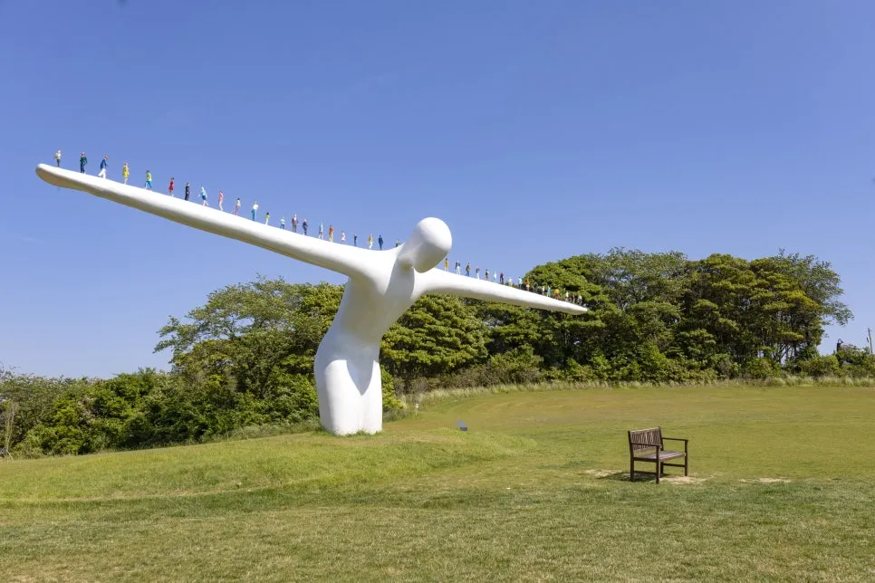 IMG_6555.jpg?type=w966