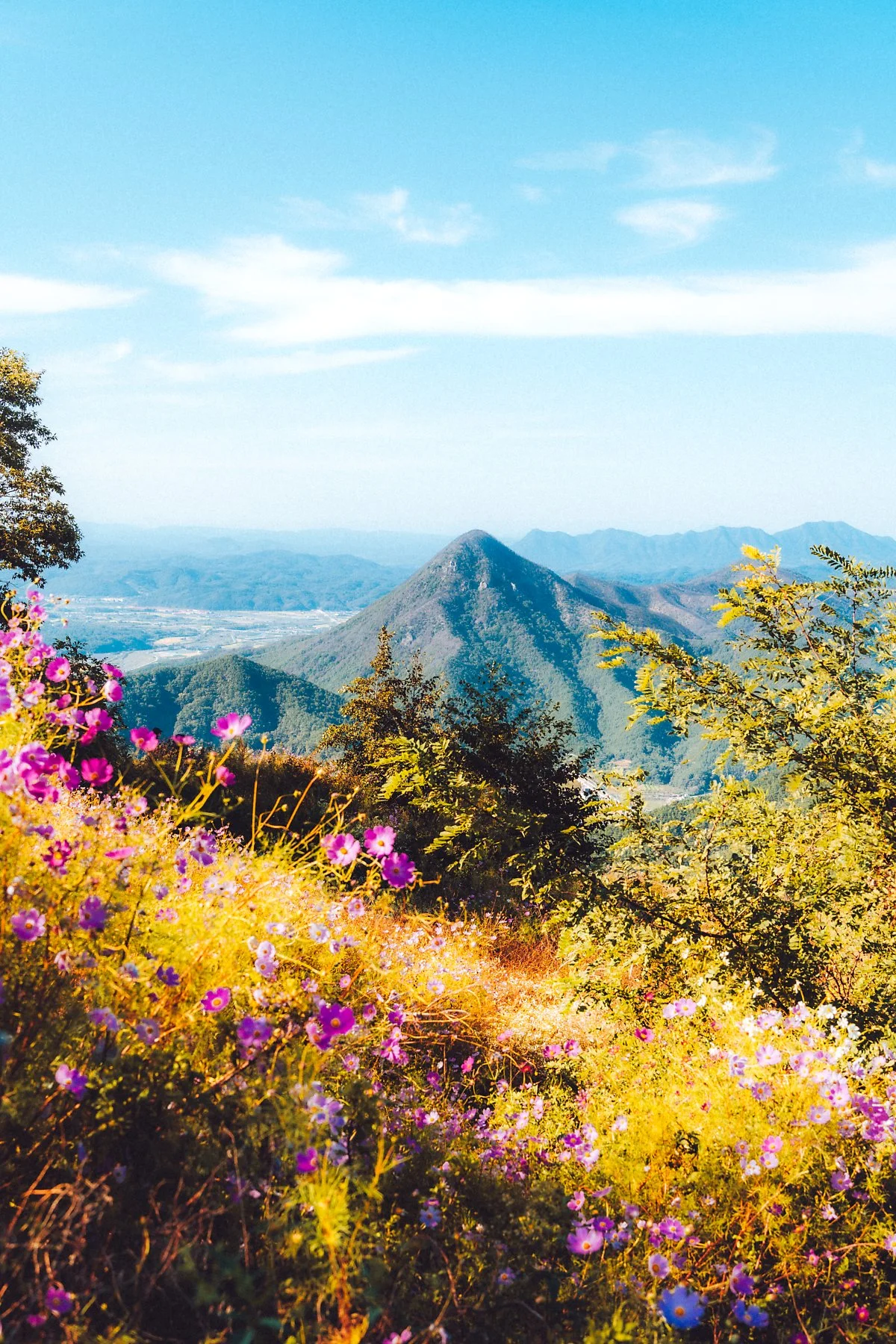 %ED%99%94%EC%82%B0%EC%82%B0%EC%84%B1_%EC%A0%84%EB%A7%9D%EB%8C%80_%284%29.jpg?type=w1200