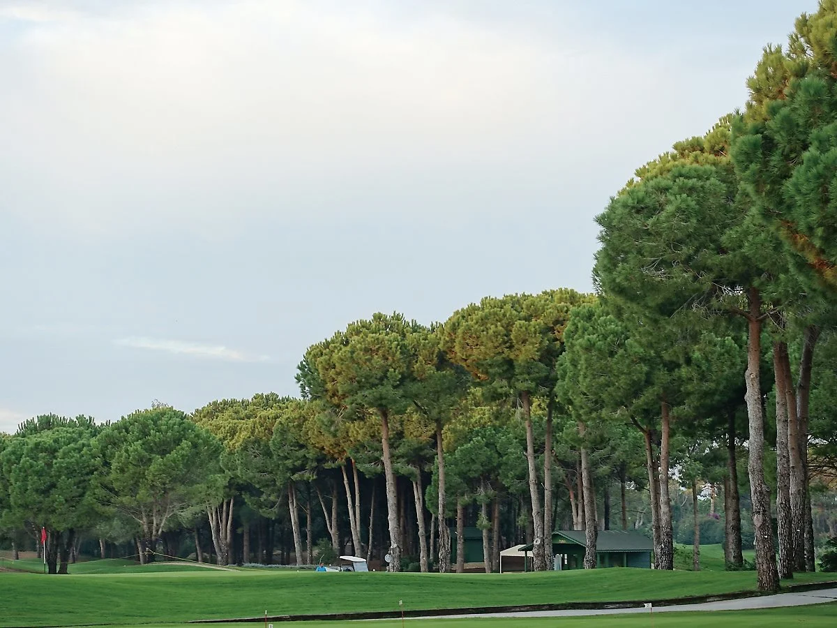 %EB%82%B4%EC%85%94%EB%84%90GC_%287%29.JPG?type=w1200