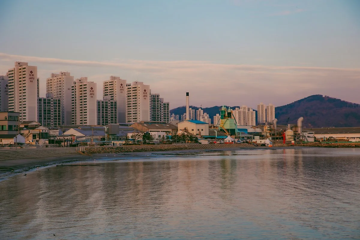 d_%EB%8B%A4%EB%8C%80%ED%8F%AC%EC%83%9D%EC%84%A0%ED%9A%8C%EB%A8%B9%EA%B1%B0%EB%A6%AC%ED%83%80%EC%9A%B4_2.jpg?type=w1200