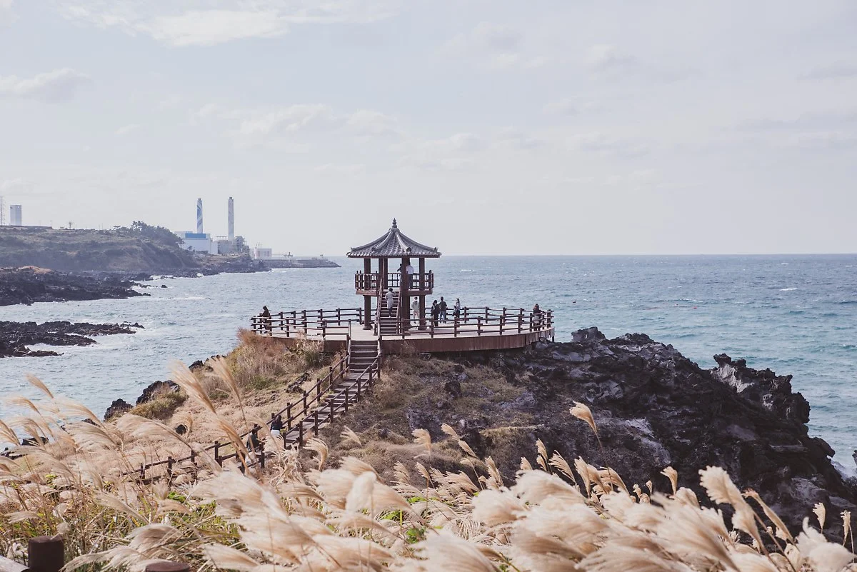 %EB%8B%AD%EB%A8%B8%EB%A5%B4_001.jpg?type=w1200