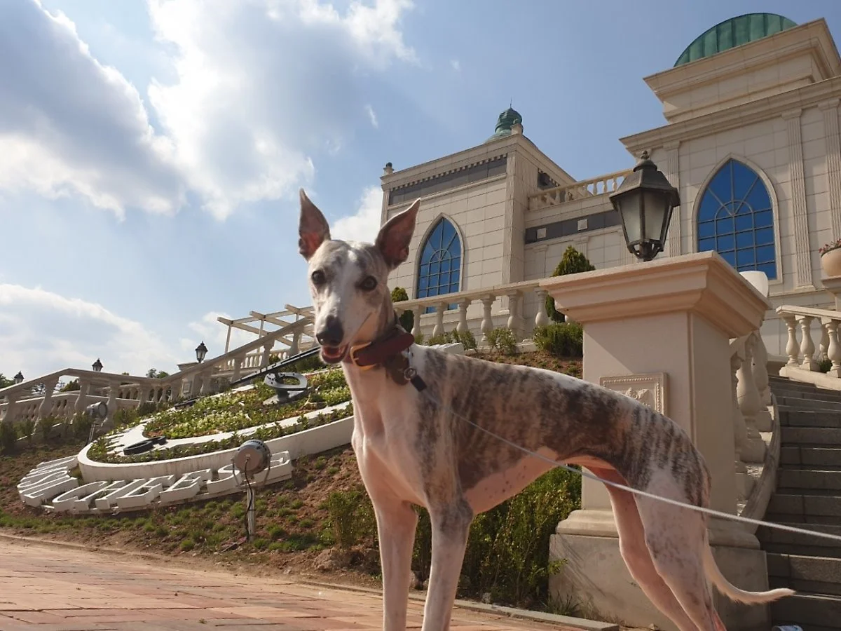 20190531_172821.jpg?type=w1200