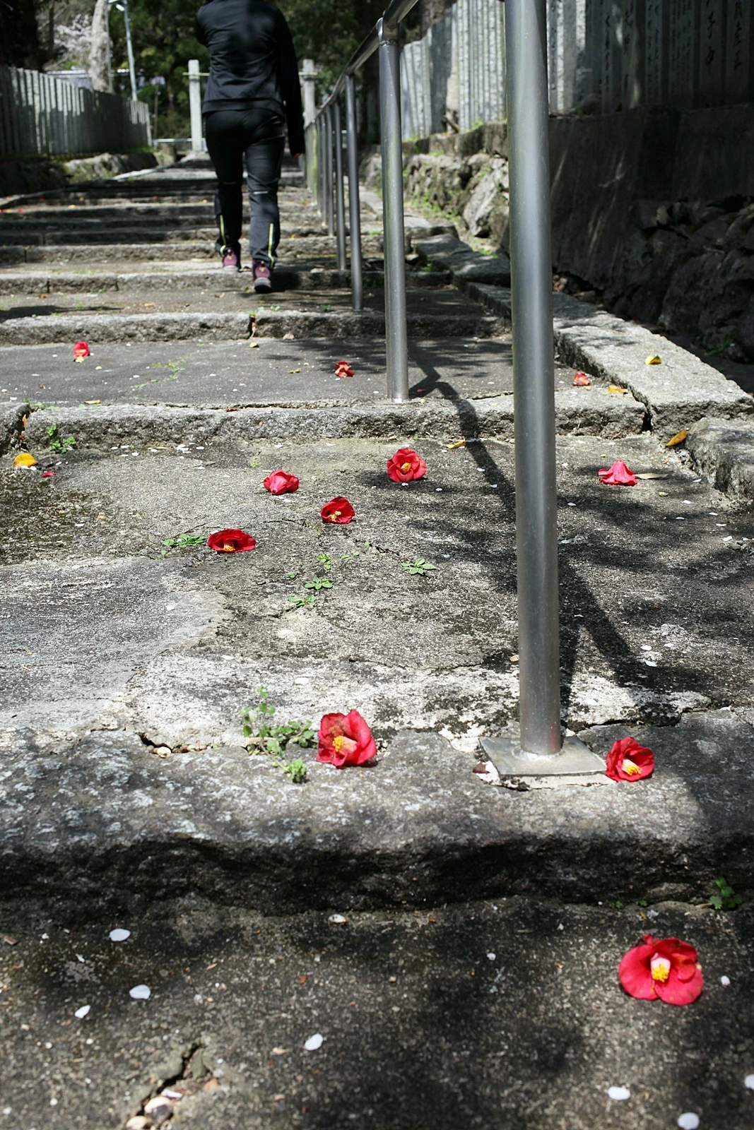 5 지쿠오가와라코스 (6).JPG