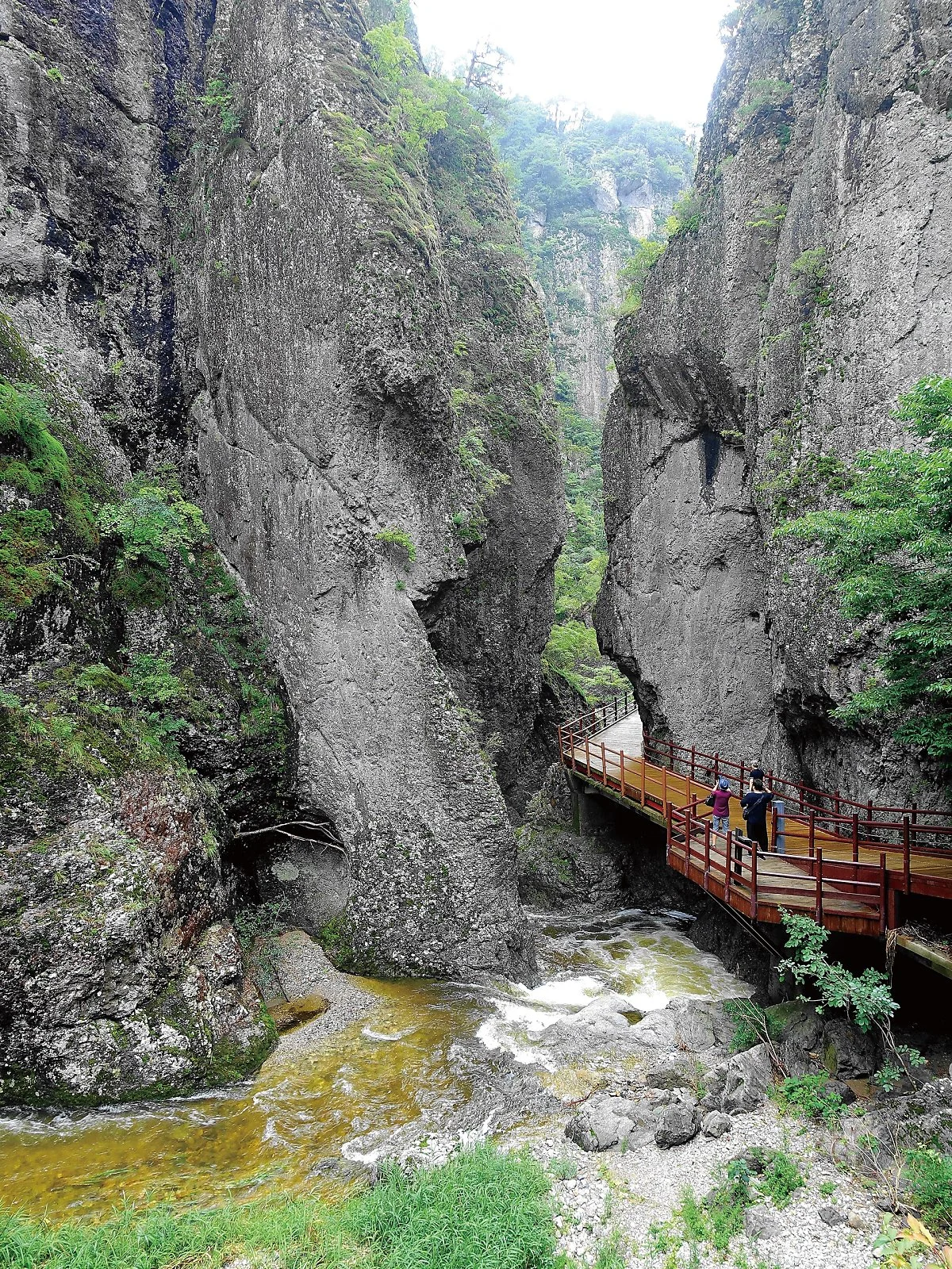 %EC%9A%A9%EC%B6%94%ED%98%91%EA%B3%A1%EC%84%B8%EB%A1%9C.jpg?type=w1200