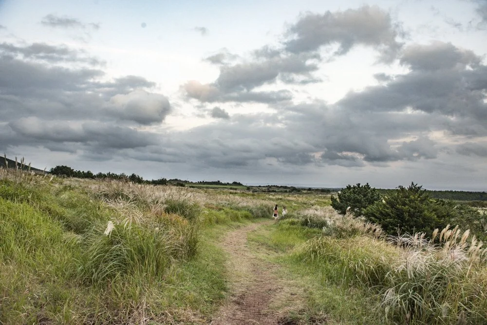 %ED%81%AC%EA%B8%B0%EB%B3%80%ED%99%98%EB%94%B0%EB%9D%BC%EB%B9%84%EC%98%A4%EB%A6%84_%2810%29.jpg?type=w1200