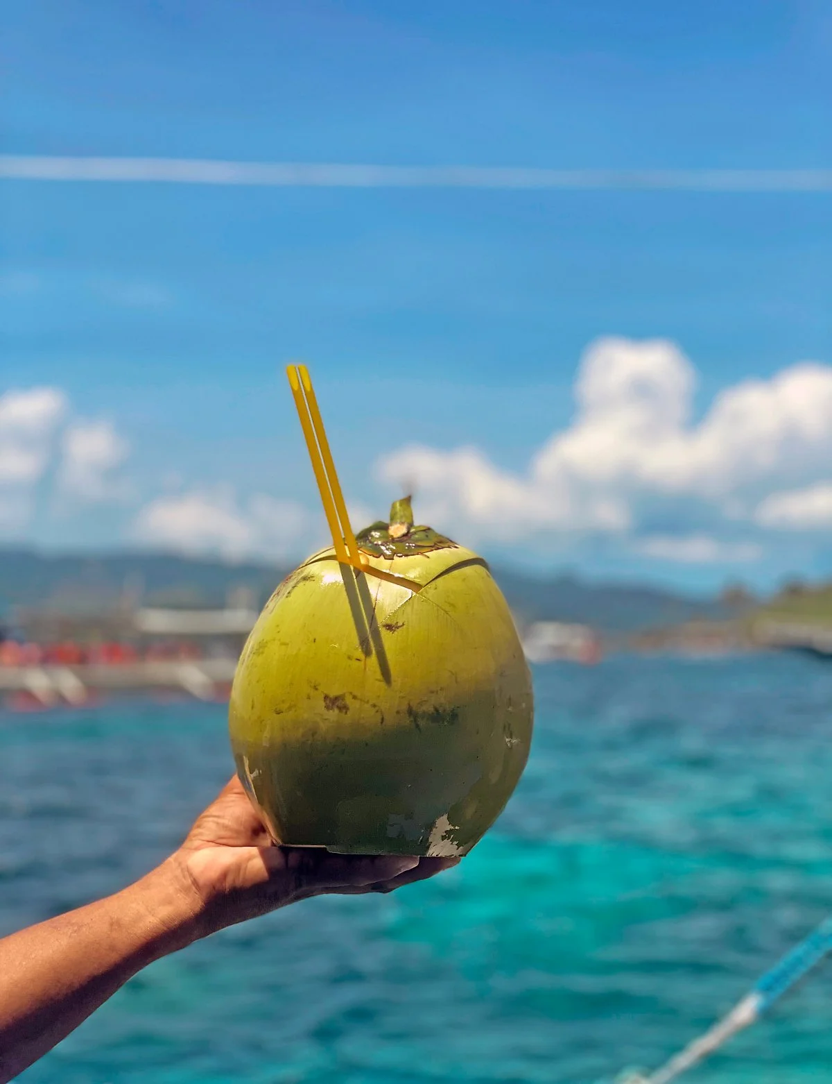 %ED%98%B8%ED%95%91_%ED%88%AC%EC%96%B44_%EB%B0%B0%EC%97%90%EC%84%9C_%EB%A7%9B%EB%B3%B8_%EC%BD%94%EC%BD%94%EB%84%9B.jpg?type=w1200